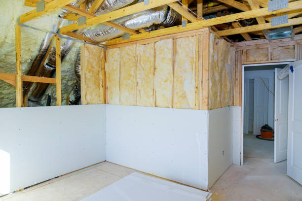 Best Specialized Insulation Services in Rantoul, IL
