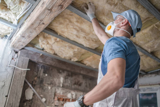 Best Spray Foam Insulation in Rantoul, IL