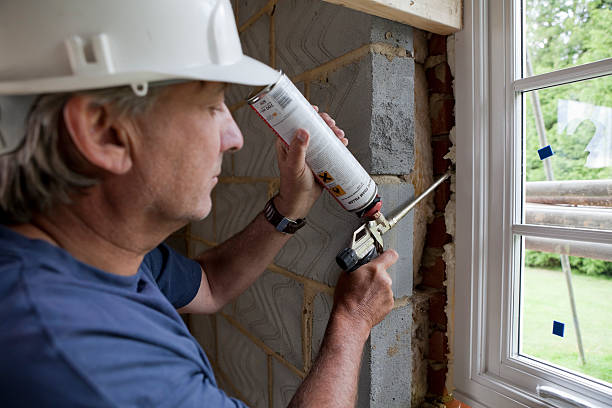 Best Eco-Friendly Insulation in Rantoul, IL