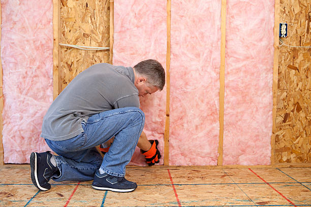 Best Cellulose Insulation in Rantoul, IL